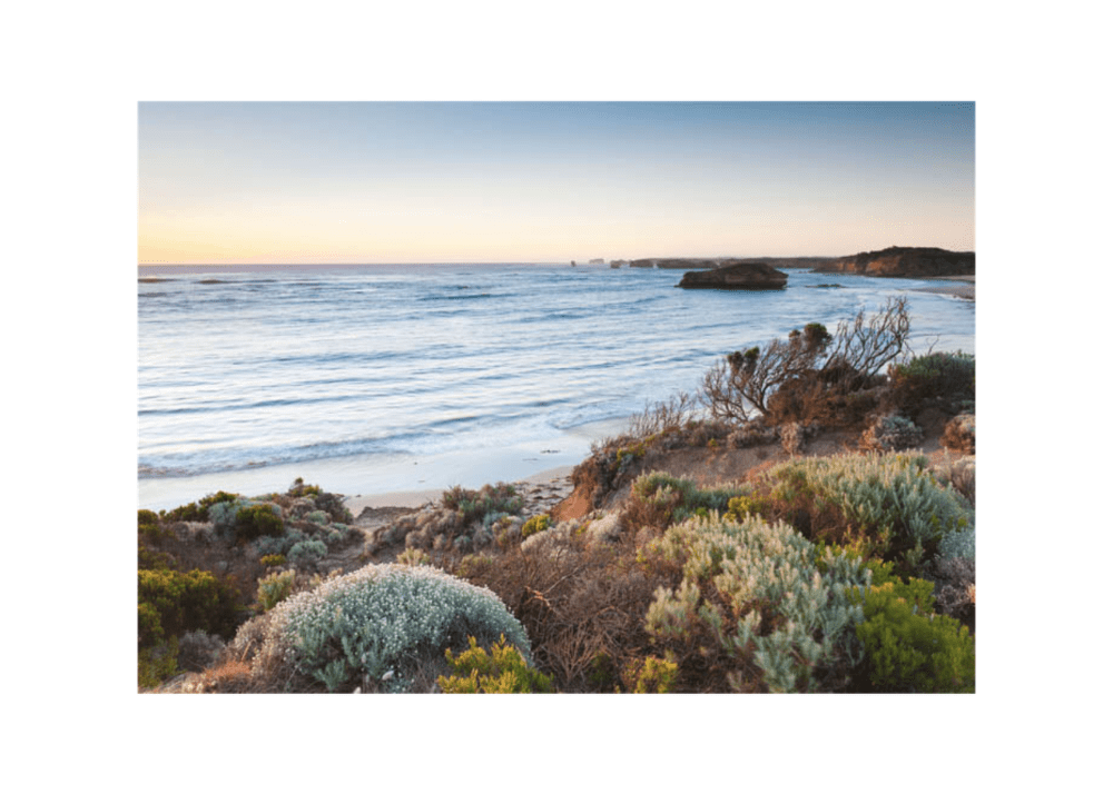 Coastal Hinterland Framed Canvas - White Art Vast Furniture