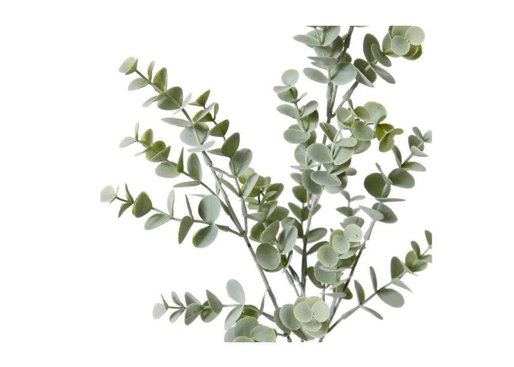 Eucalyptus Spray - Grey Green
