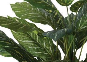 agloenema faux plant closeup