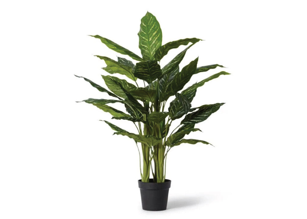 agloenema faux plant