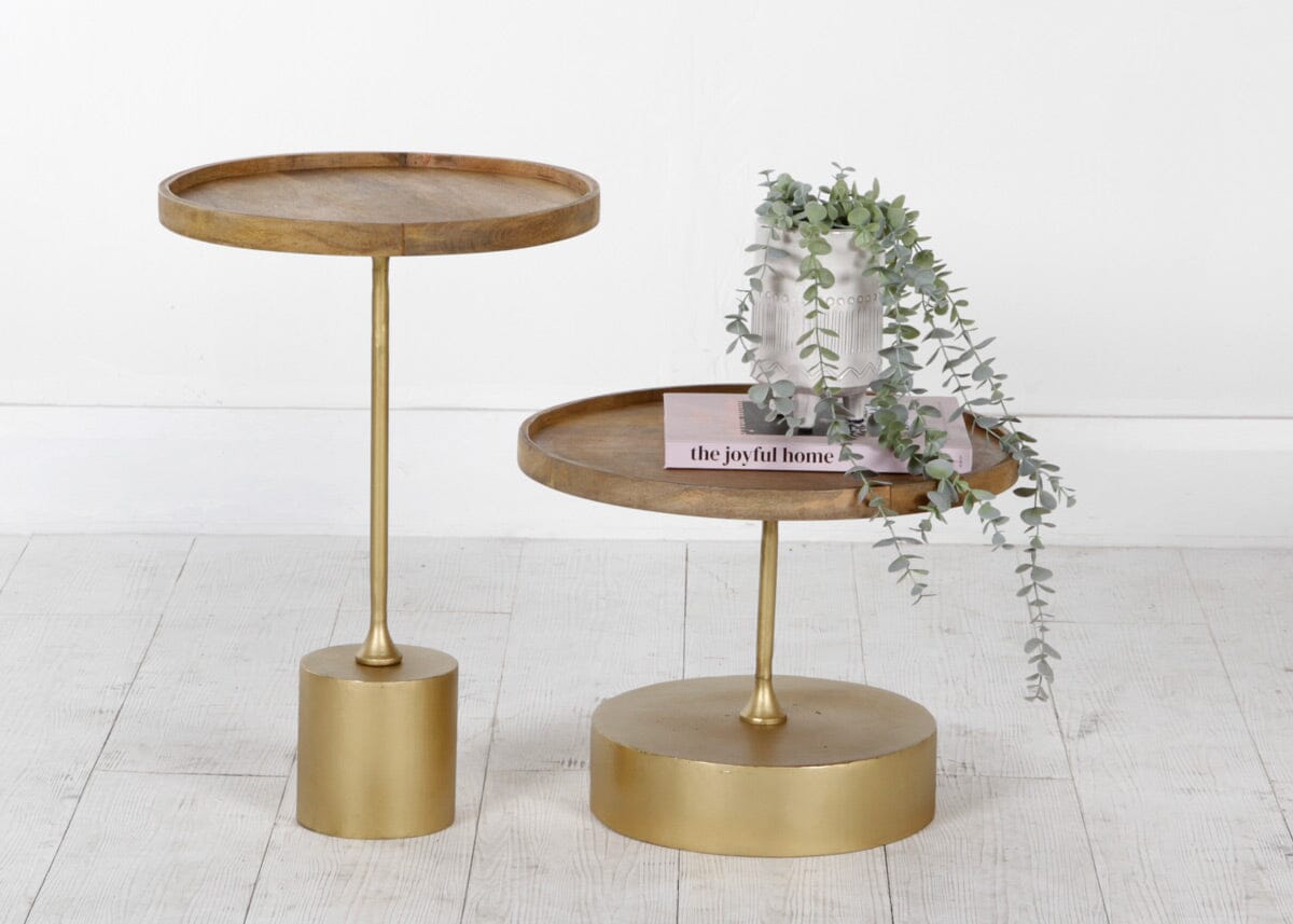 Theodore Tray Table duo